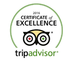 tripadvisor